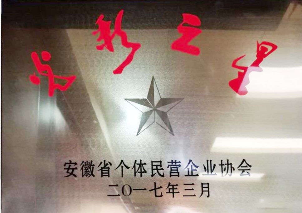 2017年3月光彩之星