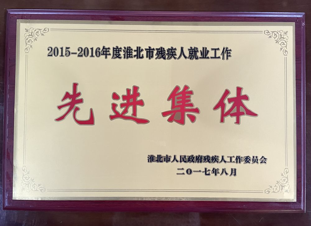 2017年8月2015-2016年度淮北市残疾人就业工作先进集体