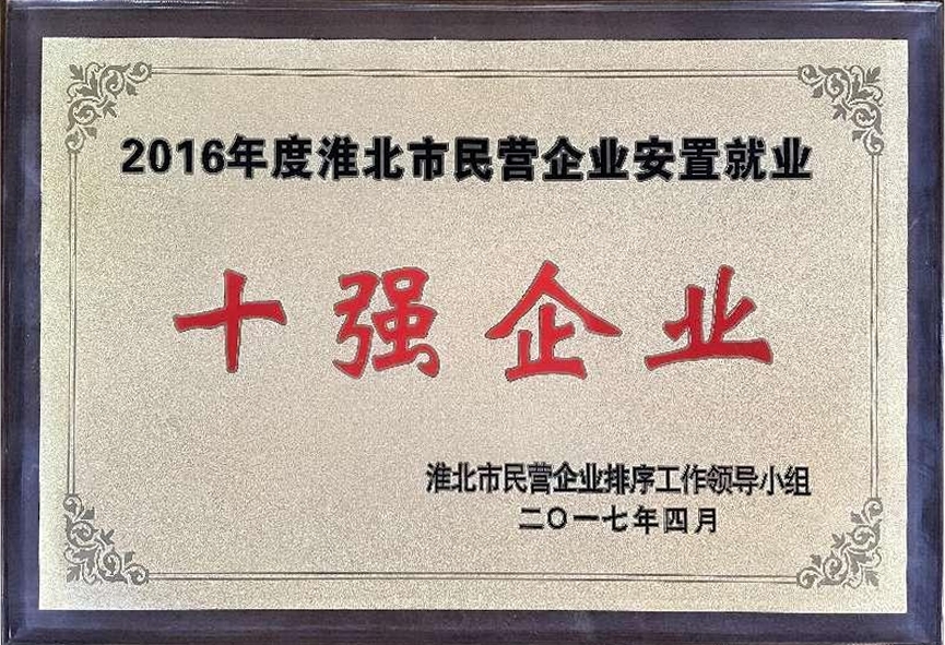 2017年4月2016年度淮北市民营企业安置就业“十强企业”