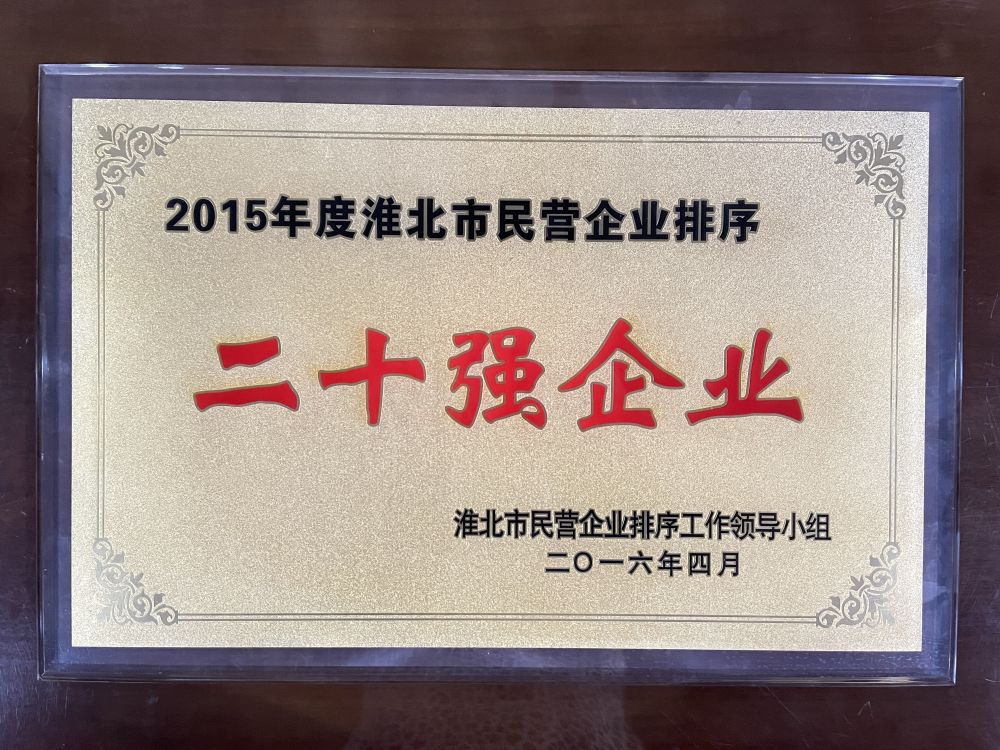 2016年4月2015年度淮北市民营企业排序二十强企业