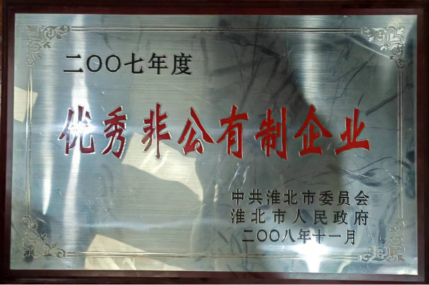 2008年11月优秀非公有制企业