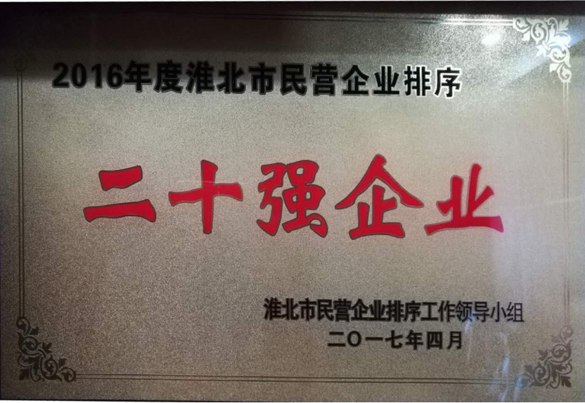 2017年4月2016年度淮北市民营企业排序“二十强企业”