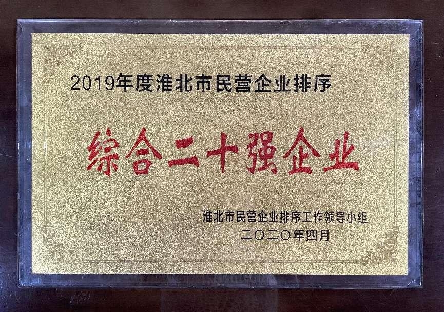 2020年4月2019年度淮北市民营企业排序“综合二十强企业”
