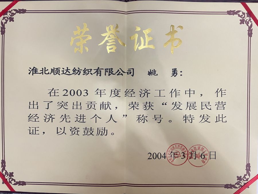 2004年3月年度“发展民营经济先进个人”称号
