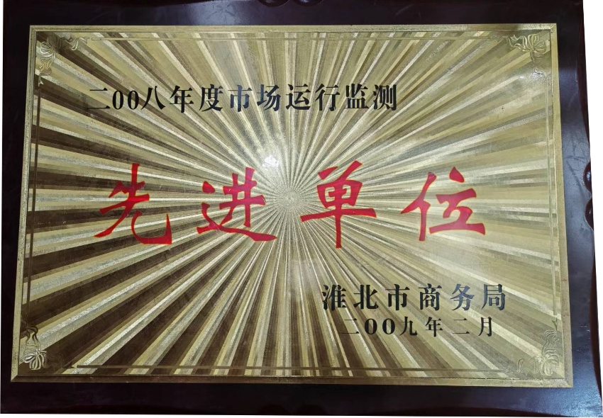 2009年2月2008年度市场运营监测“先进单位”