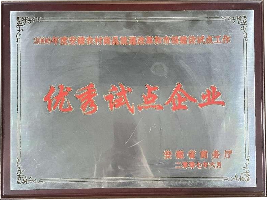2007年6月优秀试点企业